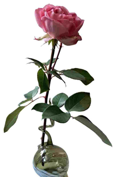 Rosenvase gruen Durchm. 8cm